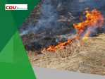Waldbrand2