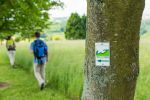 Tourismus Bild