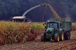 corn harvest g9fdbcf514 1920